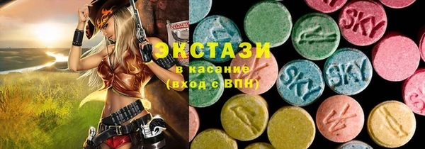 мдпв Богородск