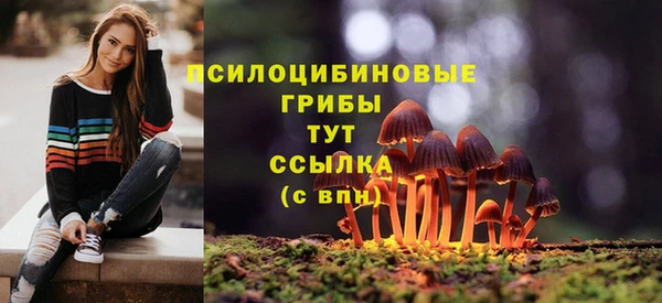 мдпв Богородск