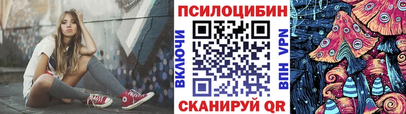 Псилоцибиновые грибы Psilocybine cubensis  Данилов 
